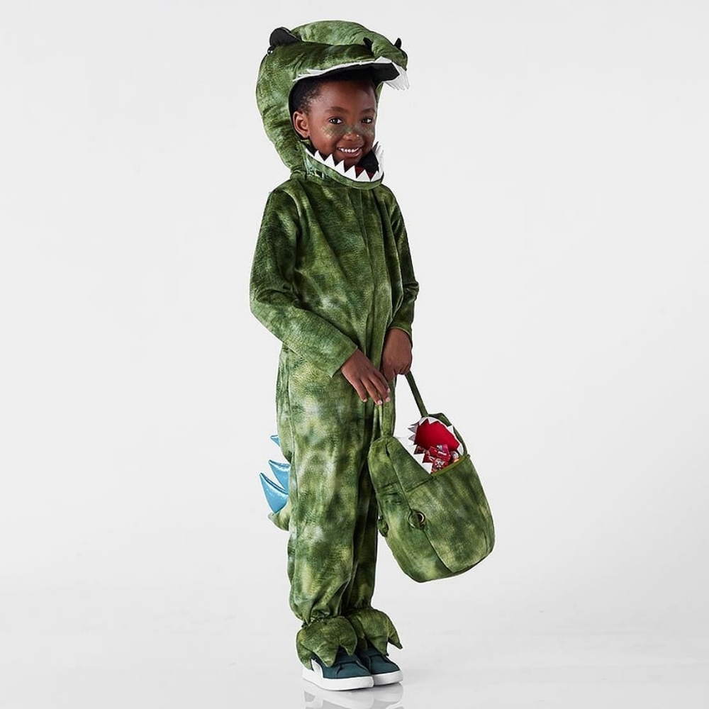 NEW Pottery Barn Kids Light Up T-Rex Costume